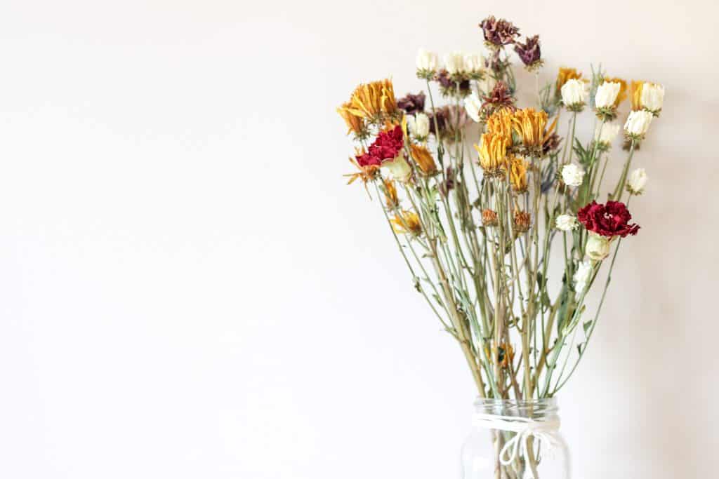 dried flowers in a vase
