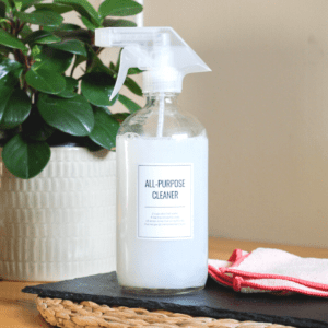 all purpose cleaner in spray bottle with cloth