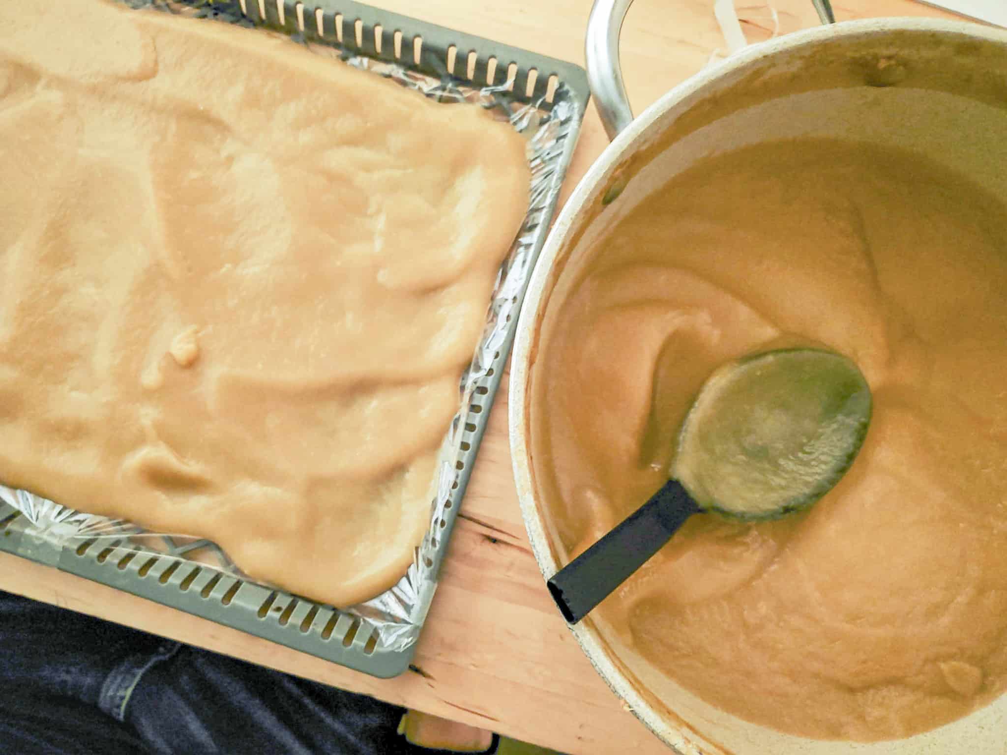 Dehydrating Applesauce to Make Fruit Leather The Home Intent