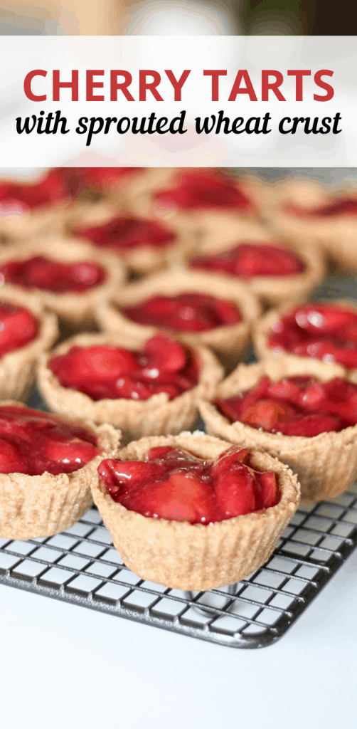 completed cherry tarts on a cooling rack