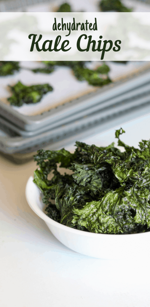 dehydrated kale chips in a bowl in front of dehydrator trays