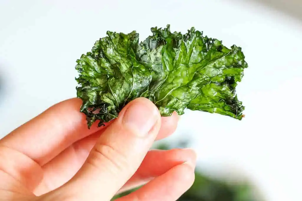 hand holding a kale chip