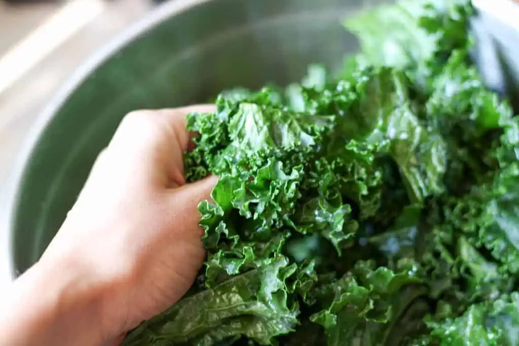 Massaging seasonings and oil into kale
