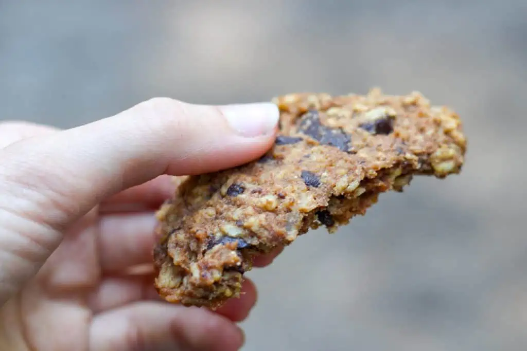 hand holding half of oatmeal cookie