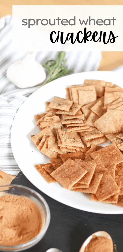 plate of different flavored sprouted wheat crackers