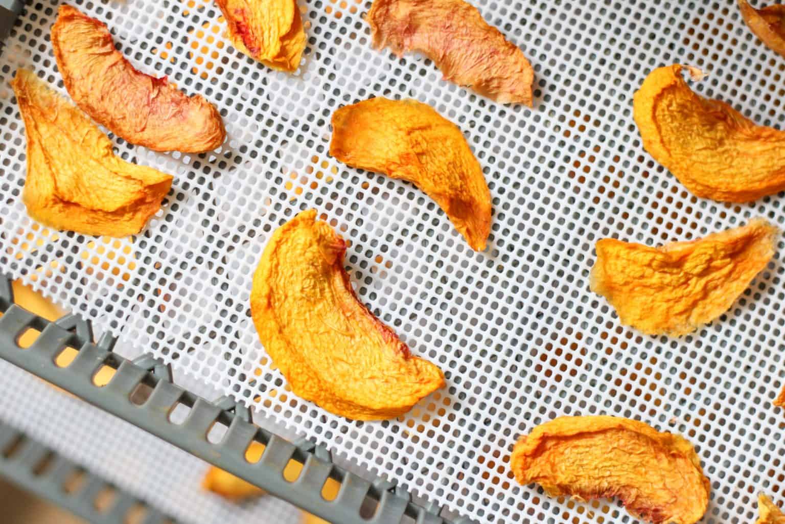 How to Dry Peaches in a Dehydrator The Home Intent