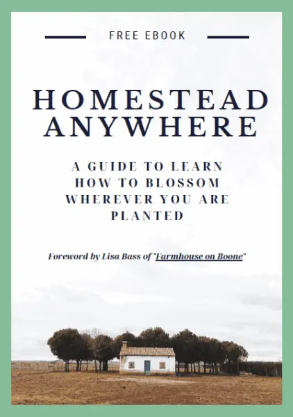 cover page of "homestead anywhere" ebook