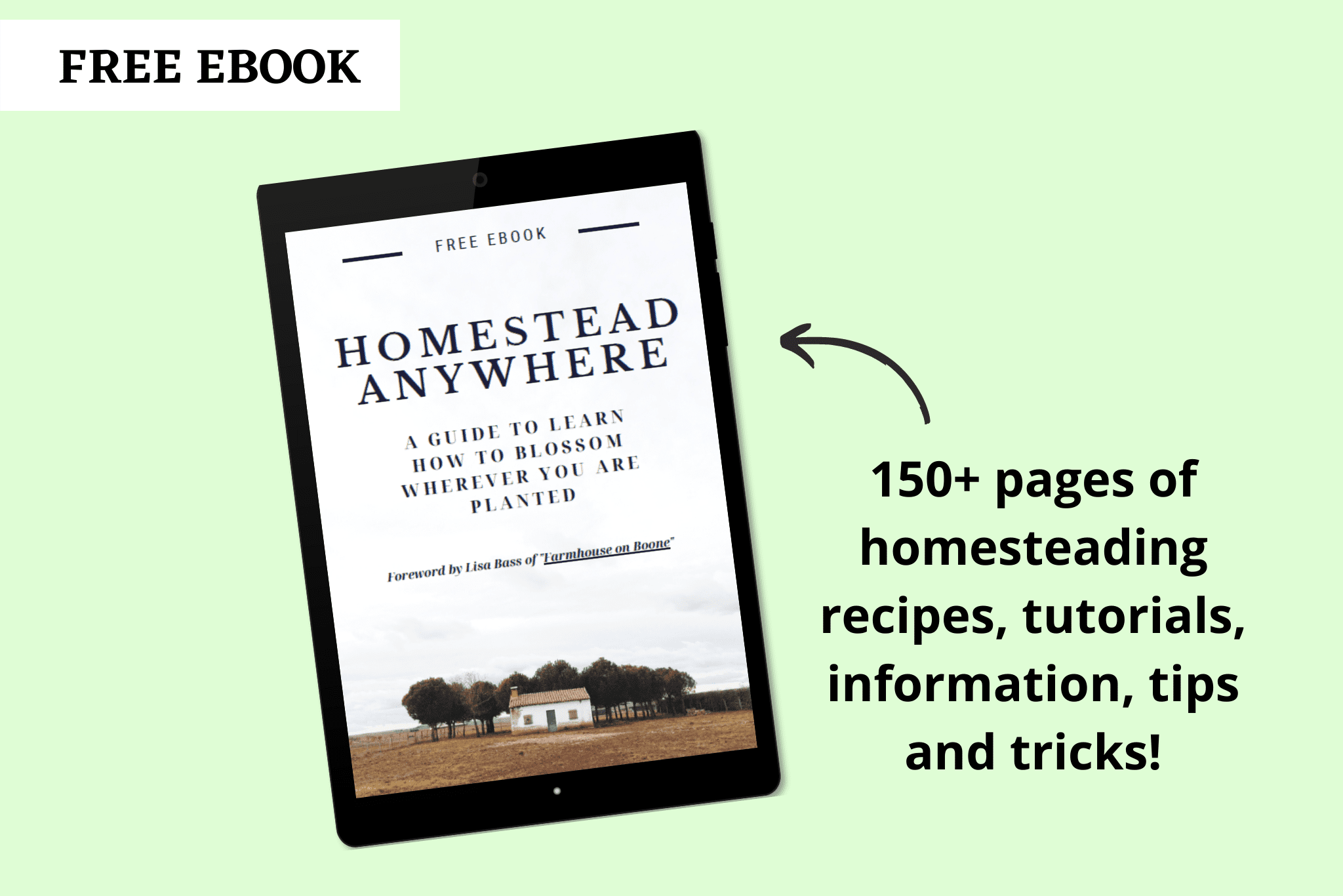 cover page of homesteading ebook