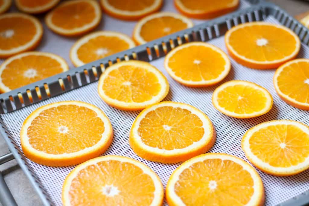 orange slices on dehydrator trays