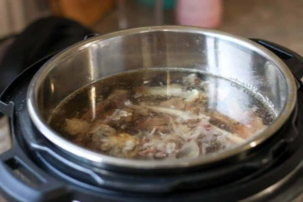 instant pot with bones and water