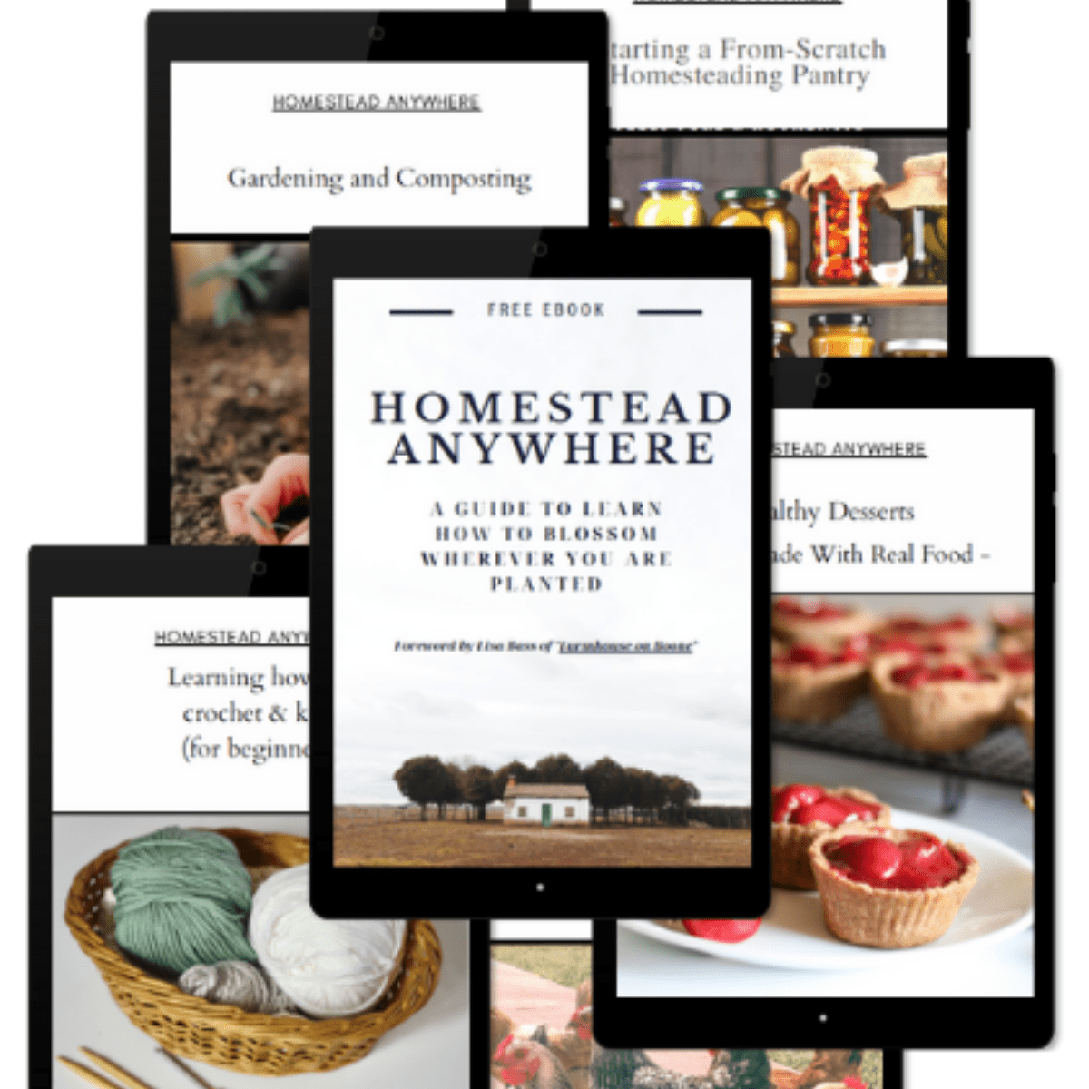tablet screens with homesteading info