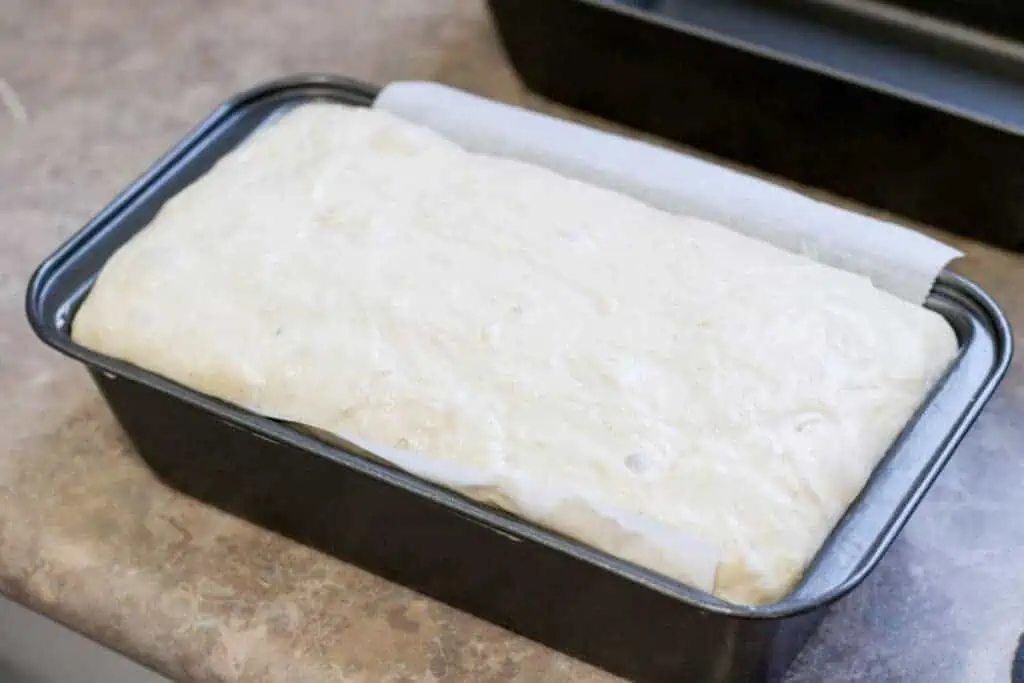risen bread dough in loaf pan