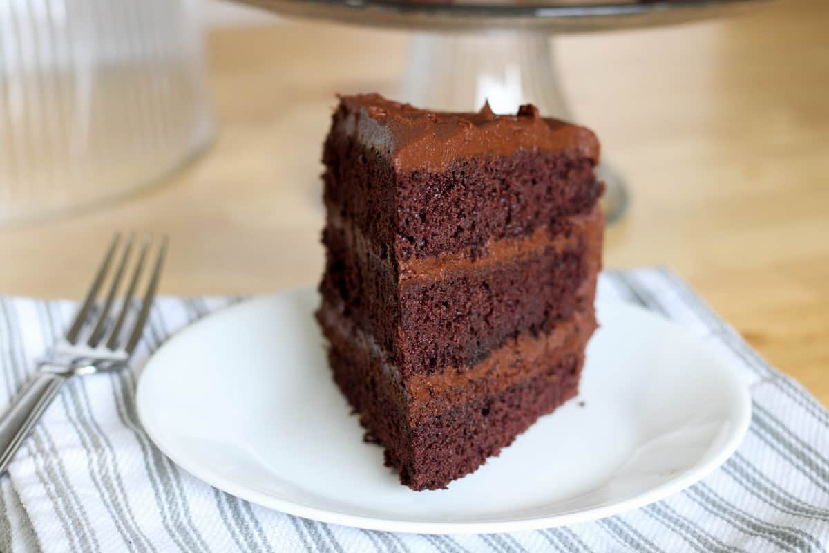 front view of a slice of chocolate cake on a plate
