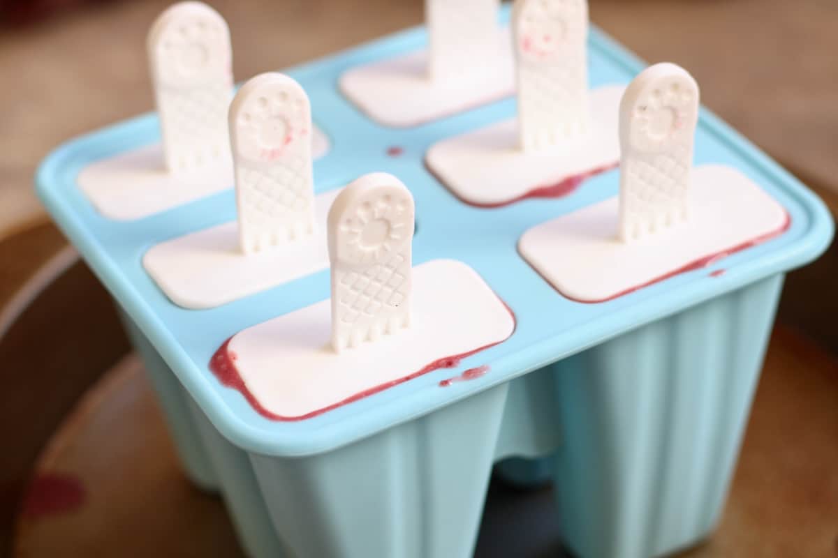 popsicle mold with filling in