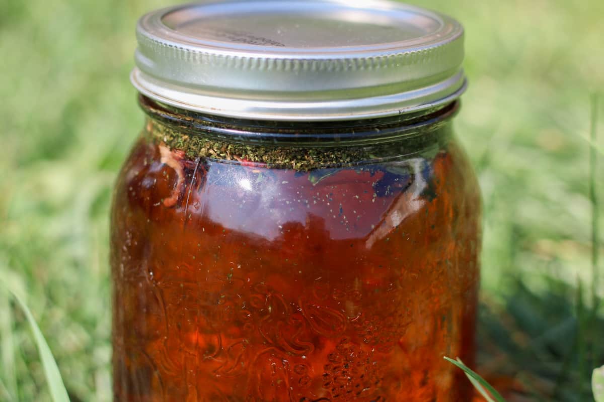 sun tea steeping in jar