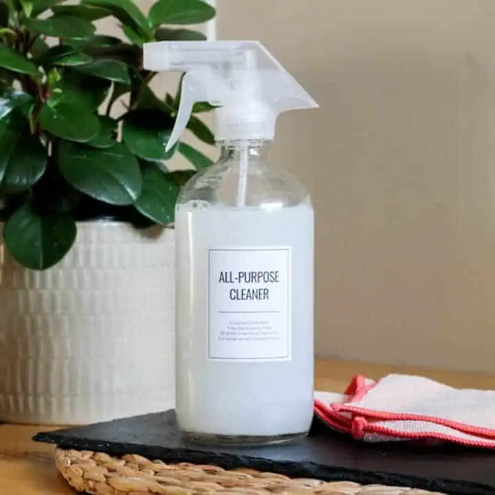 all purpose cleaning bottle