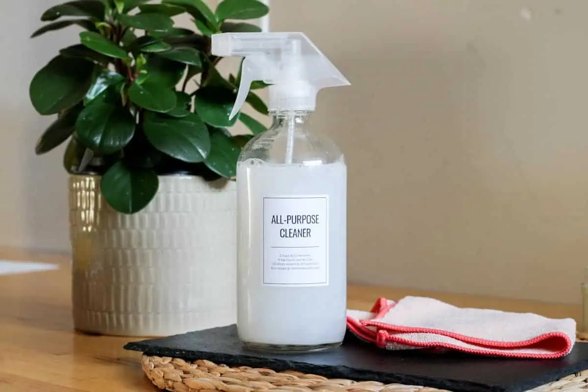 all purpose cleaning bottle on a table with cloth and plant