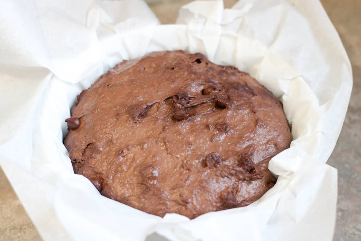 risen sourdough chocolate bread dough