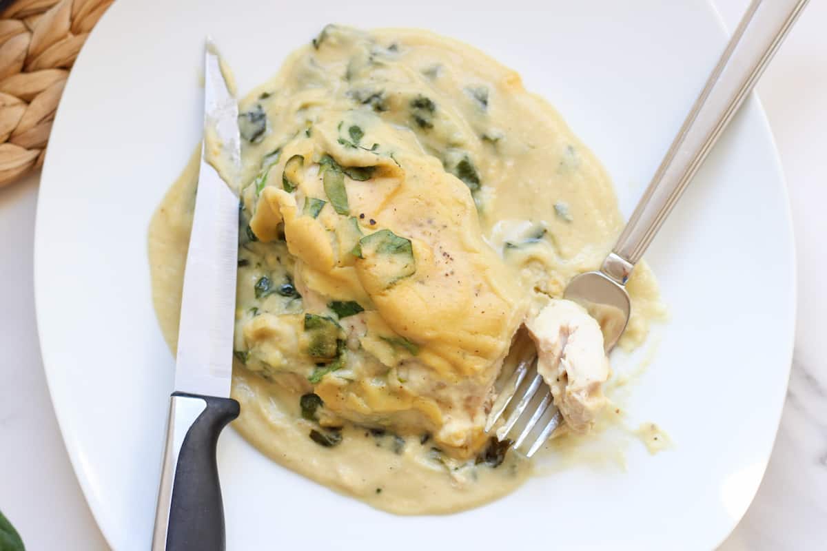 plate with chicken and cream sauce